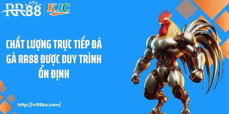 Chất lượng trực tiếp đá gà RR88 được duy trình ổn định