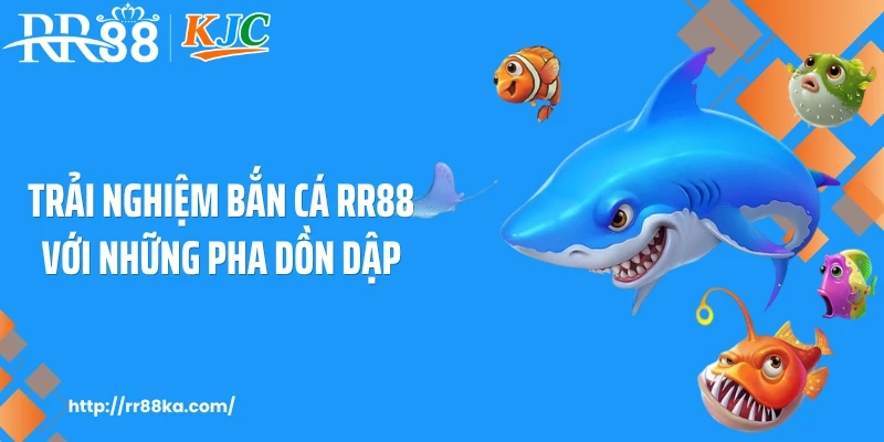 Trải nghiệm bắn cá RR88 với những pha dồn dập